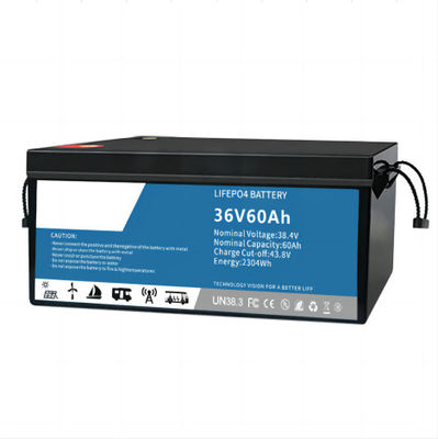 Prenda impermeable de la batería IP55 del fosfato del hierro del litio de Multiscene EV con BMS